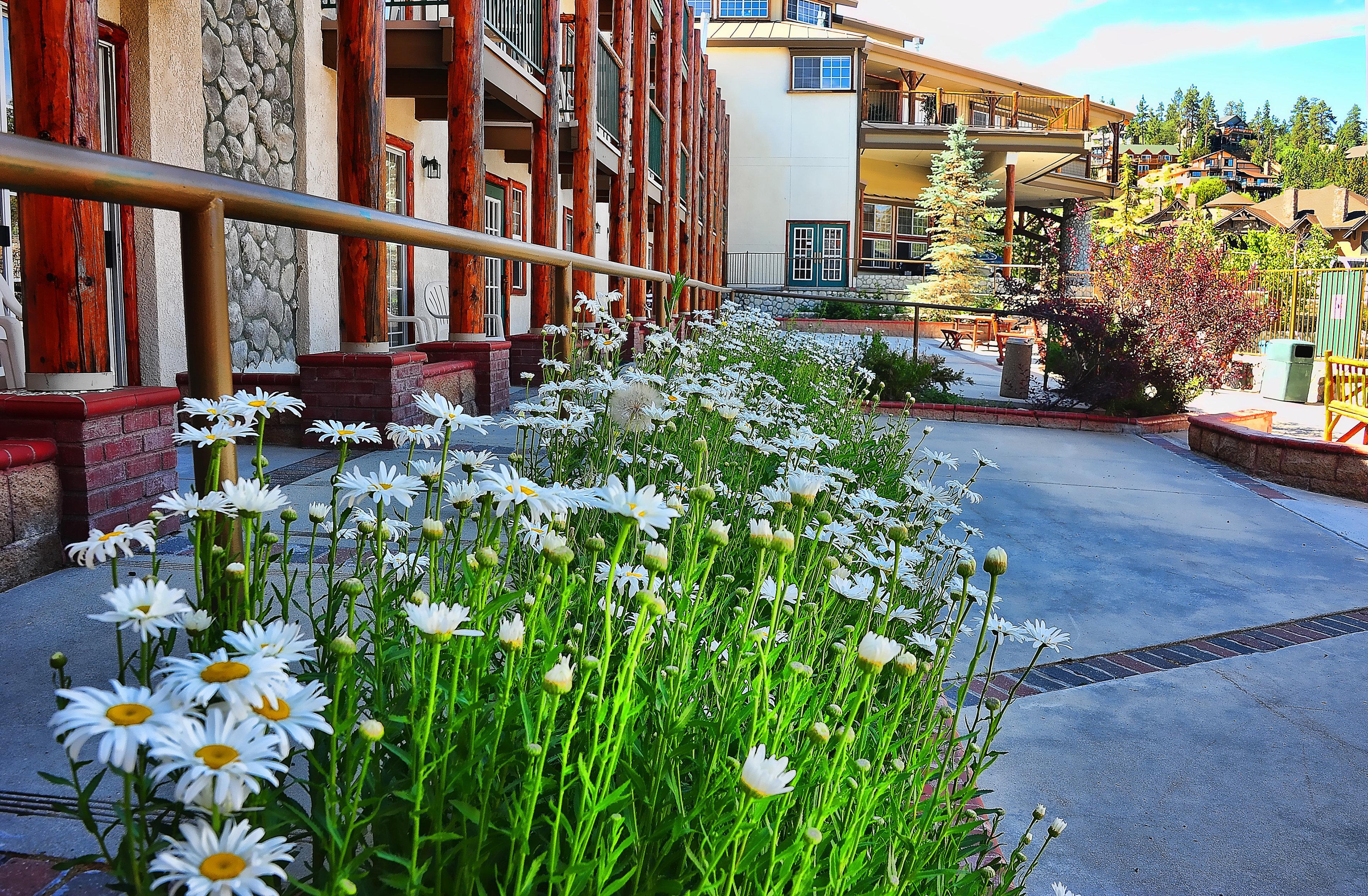 Holiday Inn Resort The Lodge At Big Bear Lake By Ihg Exteriör bild